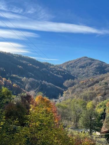 Tuvākā izklaides vieta, Nido delle Ortensie in Mosso Santa Maria
