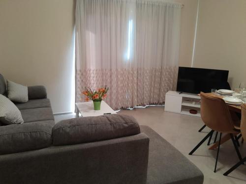 Közös társalgó / TV, Apartment Mare in Slivnica