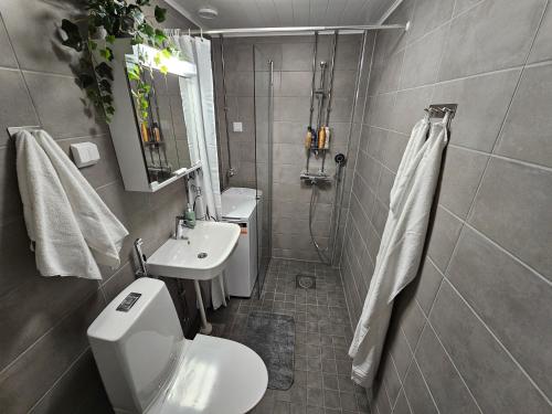 ห้องน้ำ, Rauma Canal Apartment in เรามา