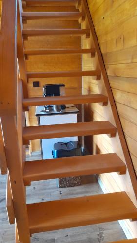 Căbănuța Busuioc Colibita Căbănuța Busuioc Colibita