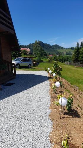 Căbănuța Busuioc Colibita Căbănuța Busuioc Colibita