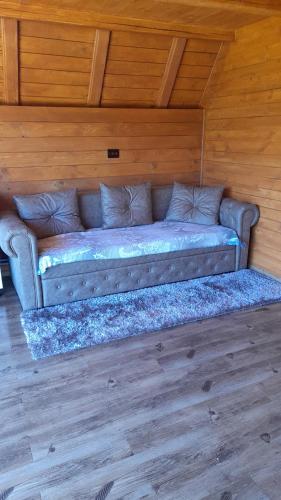 Căbănuța Busuioc Colibita Căbănuța Busuioc Colibita