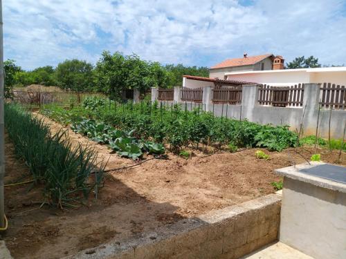 Kert, Apartment Mare in Slivnica