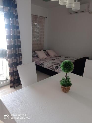 Apartmani Gaga 5