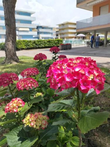Valbella, Bibione (Foto 2)