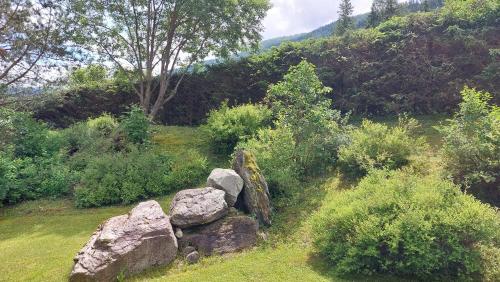 Ferienwohnung Aigner - image 3