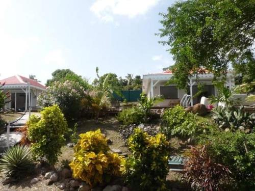 Madavillier - Location, gîte - Les Anses-d'Arlet