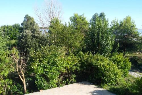 Alloggio a Sant Erasmo Venezia, Benátky (fotografie 10)