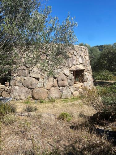 Il Nuraghe del lago Coghinas