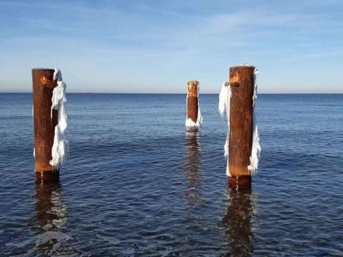 Omgivningar, Neeb Comfortable holiday residence in Fehmarn