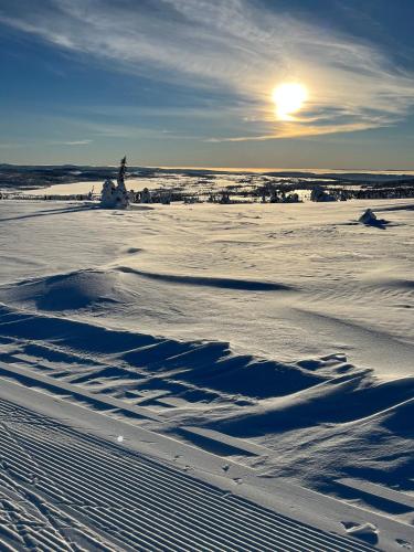 Mountain appartment in Sjusjoen