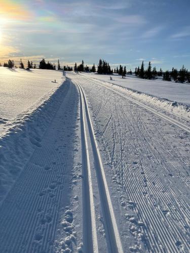 Mountain appartment in Sjusjoen