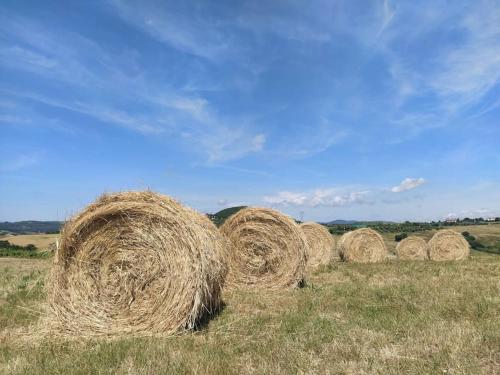 Raggio di Sole Castellina Marittima - Bilocale con piscina in Toscana