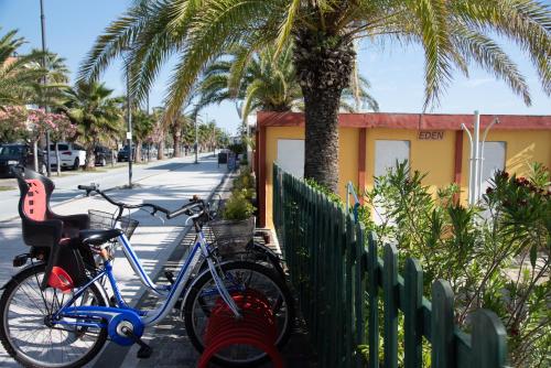 Hotel Eden – Grottammare, MO