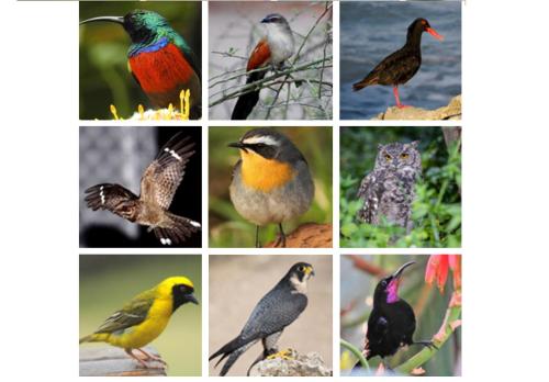 Erika27 Top B&B Choice Erika27 Top B&B Choice