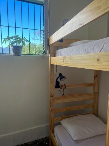 Single Bed in Mixed Dormitory Room image 1