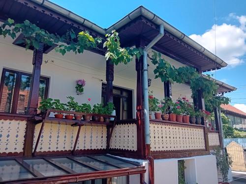 Casa Cristian in Călimănești