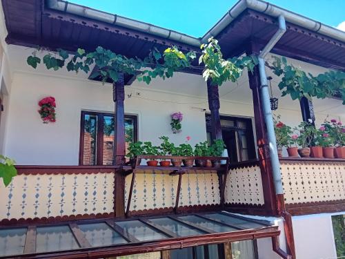 Casa Cristian in Călimănești