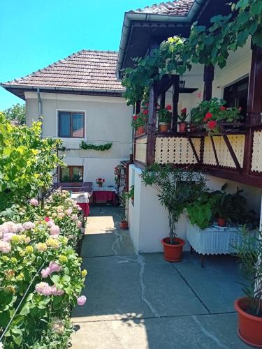 Casa Cristian in Călimănești