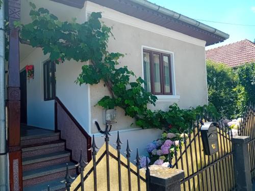 Casa Cristian in Călimănești