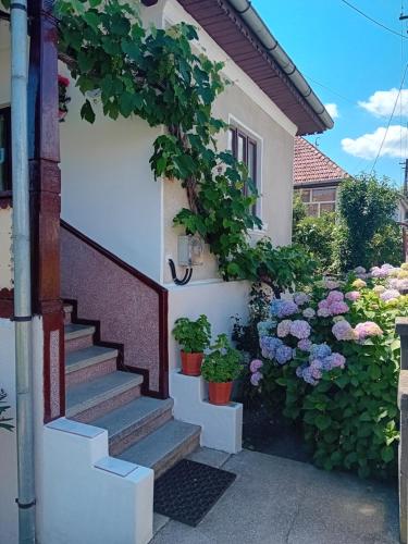 Casa Cristian in Călimănești
