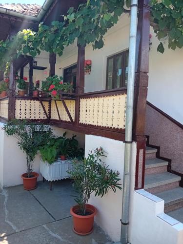 Casa Cristian in Călimănești