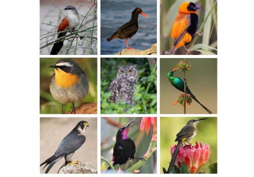 Erika27 Top B&B Choice Erika27 Top B&B Choice