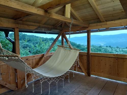 Magarija 2 in 積米特洛夫格勒