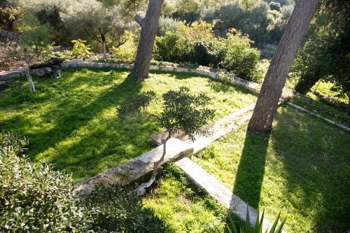 Villa eleni - image 3