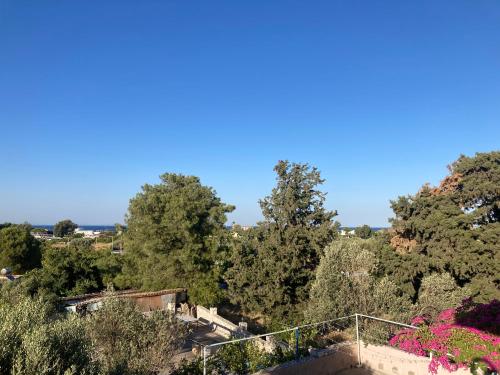 Cannon Guesthouse Faliraki 5
