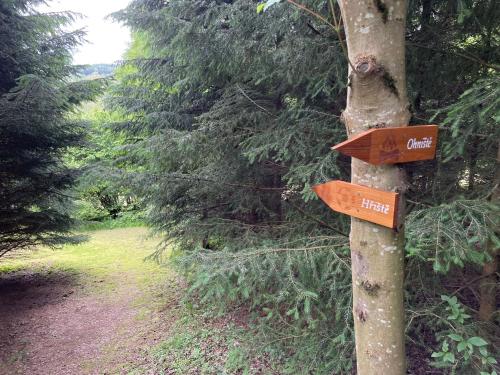 Alrededores, Chaty Kašperské Hory (Chaty Kasperske Hory) in Kasperske Hory