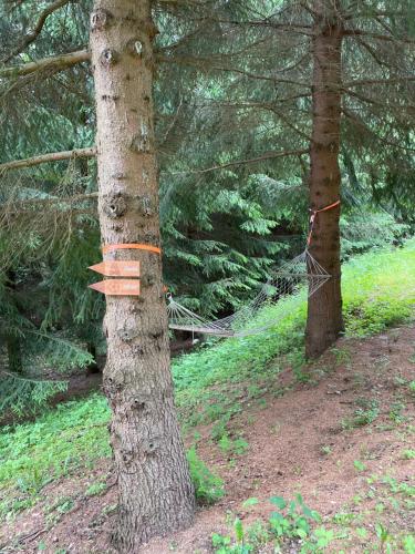 Alrededores, Chaty Kašperské Hory (Chaty Kasperske Hory) in Kasperske Hory
