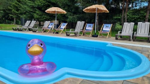 Mazurska Zatoka Resort & Spa - Apartamenty nad jeziorem z prywatną plażą i podgrzewanym basenem zewnętrznym, Mazury w rytmie SLOW