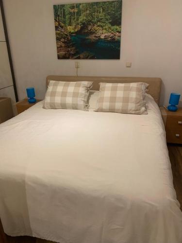 Het Egeltje Het Egeltje