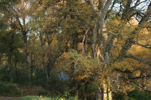 BCC Loch Ness Cottages