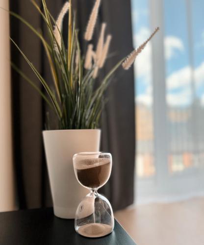 Dainas Apartment, Riga