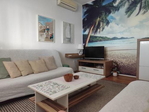 Apartment Penovic in Blace