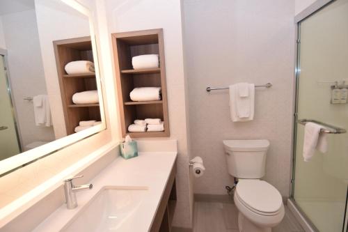 Holiday Inn Express Syracuse Airport by IHG in North Syracuse, USA