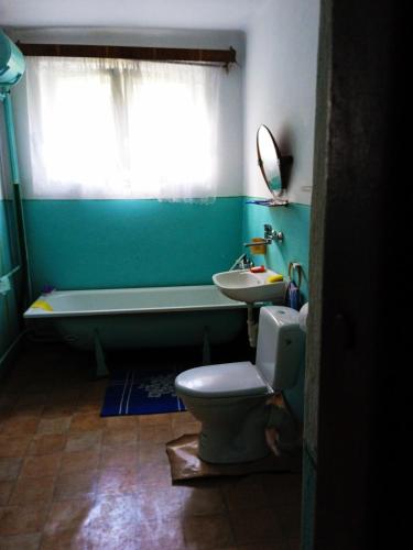 Dom na wsi z dużym ogrodem (Dom na wsi z duzym ogrodem) in Boratyn