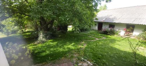 Dom na wsi z dużym ogrodem (Dom na wsi z duzym ogrodem) in Boratyn