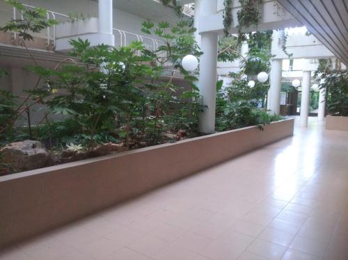 Atico España (Atico Espana) in Las Rozas