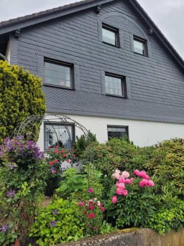 Viesnīcas āriene, Ferienwohnung Mietzner in Laubach (Rhein-Hunsruck-Kreis)