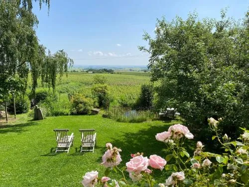Traumblick Rebenmeer in Gleisweiler, Deutschland