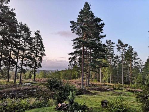 Facilities, Pure relaxation in Sweden in Molkom