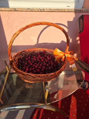 Villa Amir Villa Amir