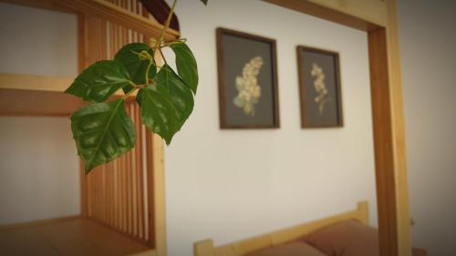Kwadrat i Kropka Apartament Zamość