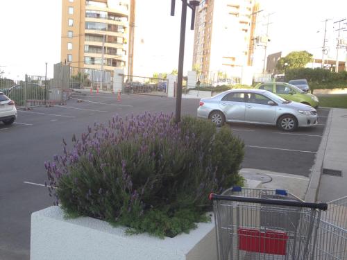 Apartamento Castilla