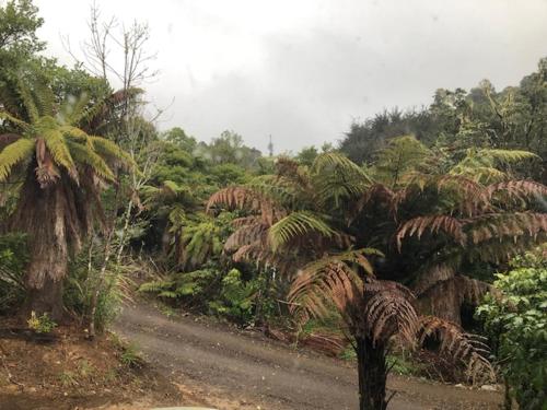 Kowhai Lodge in โรริมู