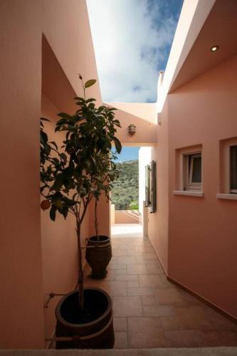 Naxos Chalkion Beautiful Detsis House with jacuzzi in Chalkio