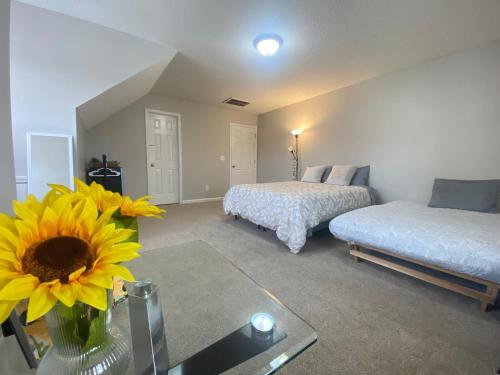 Private room & bathroom close to Downtown Raleigh in Raleigh, USA